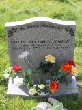 image of grave number 478220